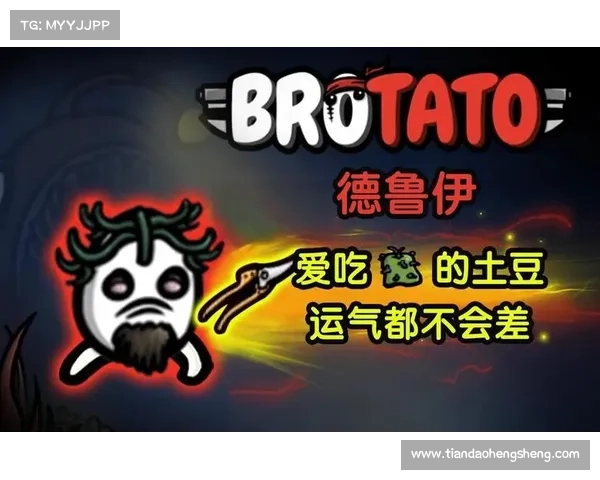 九大德鲁伊技能应用战斗策略全面解析助你征战四方