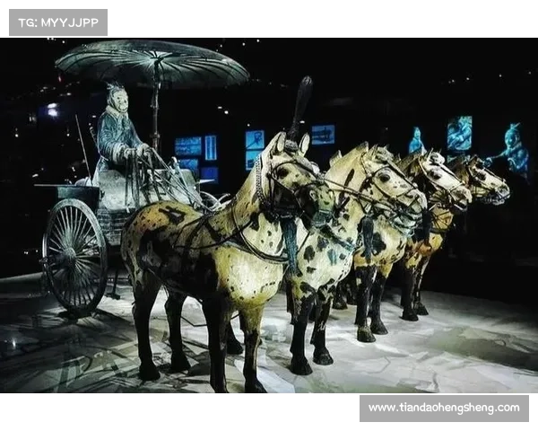 探索兵马俑分布规律与历史演变的深度关联分析